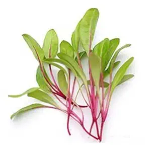 Growtime Swiss Chard Microgreen Seeds, Red