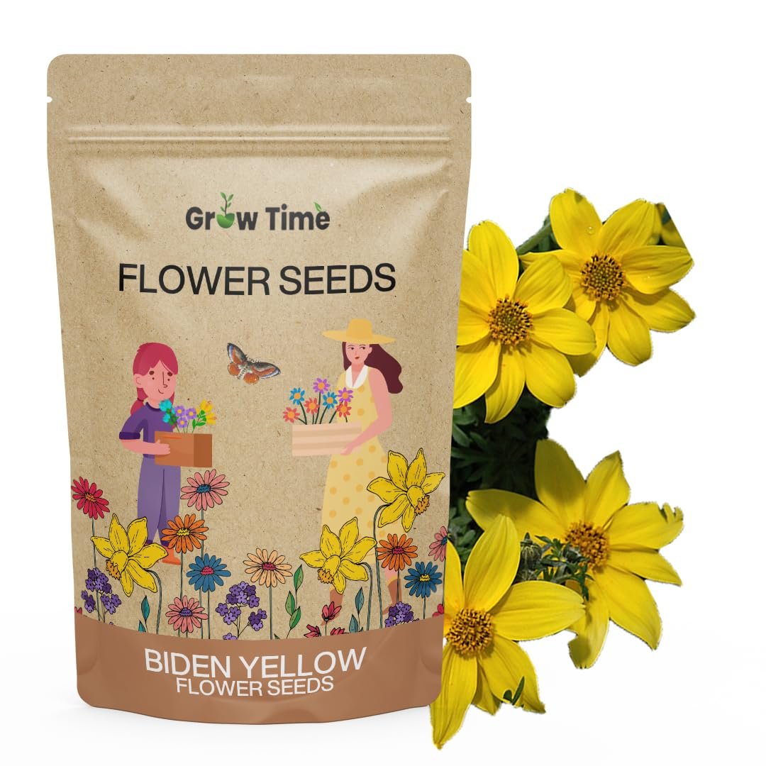 Yellow Charm Bidens (Biden Ferulifolia) Flower Seeds, Flower Seeds for Home Gardening, Flower Planting Seeds for Kitchen, Yellow Charm (Pack of 50 Seeds)