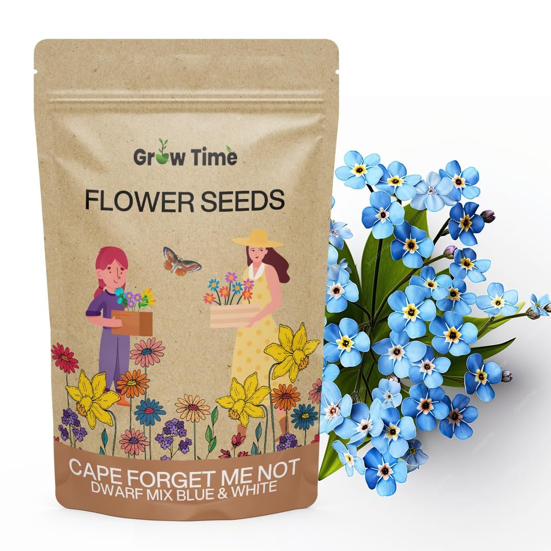 Cape Forget Me not Dwarf Mix Flower Seeds, Flower Seeds for Home Gardening, Flower Planting Seeds for Kitchen, Cape Forget Me not Dwarf Mix Blue & White (Pack of 50 Seeds)