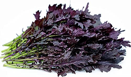 Mizuna Vegetable Seeds (Pack of 2g) (Red, Mizuna Red)