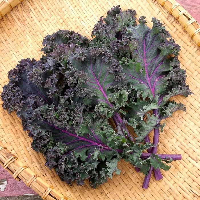 Kale Vegetable Seeds (Pack of 2g) (Red, Kale)